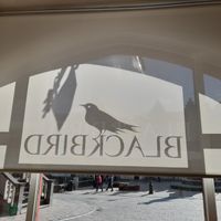 DribkcalB at Blackbird in Bruges