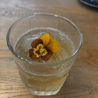   at Blackbird in Bruges