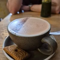  at Blackbird in Bruges