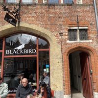  at Blackbird in Bruges