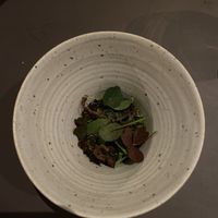   at Ark in Copenhagen