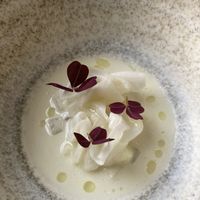   at Ark in Copenhagen