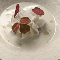  at Ark in Copenhagen