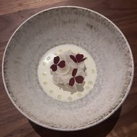   at Ark in Copenhagen