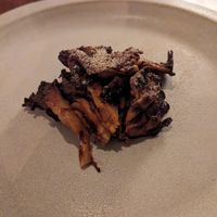 This is one of our favourites, oyster mushrooms with an umami cream underneath at Ark in Copenhagen