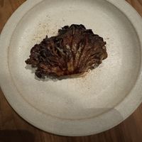 Blue oyster mushroom  at Ark in Copenhagen