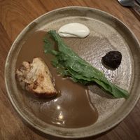 Lionsmane mushroom  at Ark in Copenhagen