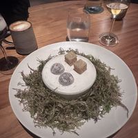   at Ark in Copenhagen