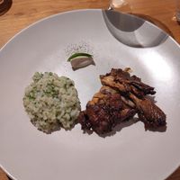 Blue Oyster / Seaweed / Oyster Leaf at Ark in Copenhagen