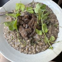   at GRØD -Torvehallerne in Copenhagen