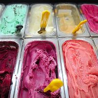 Iorio's Gelato at Iorio's Gelateria in Ann Arbor