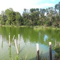 View from porch at Chopstix Cafe in Gainesville