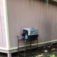 Small dog crate at Chopstix Cafe in Gainesville