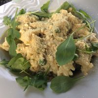 Vegan risotto (cashew cheese) at Ctyri Sestry in Kutna Hora