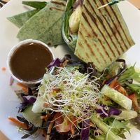   at Simon's Coffee House in Sarasota