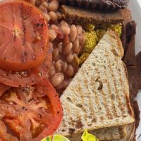   at Simon's Coffee House in Sarasota