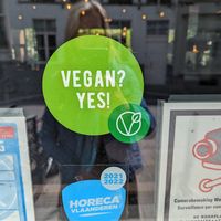 Window display at De Republiek in Bruges