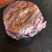   at Falcon Coffee Bar in Nashville