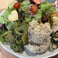   at L for You in Tokyo