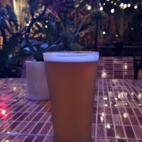 One of the draft craft ales at Monkey Republic in Kampot