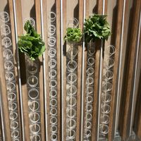 fresh greens to add to the soup   at Vege Creek 蔬河 - 101 in Taipei