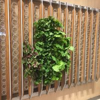 Step 2.5: select even more ingredients from the wall at Vege Creek 蔬河 - 101 in Taipei