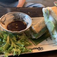 Sommerrollen   at Anamit in Dresden