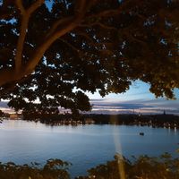 evening view from the veranda at Hermans in Stockholm