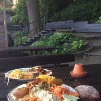 Our second plates!  at Hermans in Stockholm