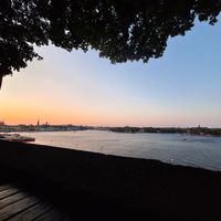  at Hermans in Stockholm