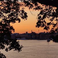  at Hermans in Stockholm