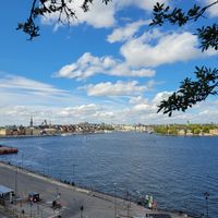 View at Hermans in Stockholm