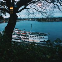 Beautiful Stockholm in its November suit  at Hermans in Stockholm