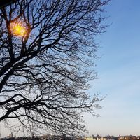A view from the inside dining area. at Hermans in Stockholm
