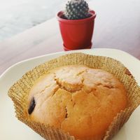 Cake  at Bitkisel Mutfak in Urla