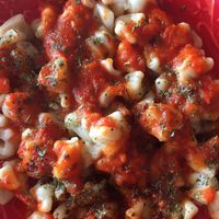 Classic manti/ Turkish ravioli in tomato sauce.  at Bitkisel Mutfak in Urla