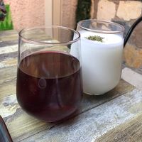 Hibiscus tea and Ayran at Bitkisel Mutfak in Urla