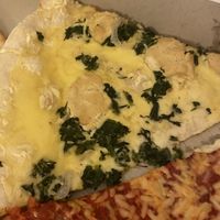 Alfredo   at NY Pizza Suprema in New York City