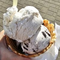 Vanilla and cookie at Living the Dream in Eureka