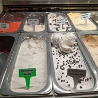 Dairy free ice cream flavors at Living the Dream in Eureka