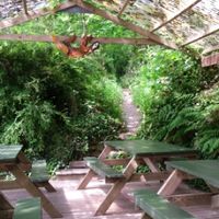 Seating area at Tree-Top Cafe in Looe