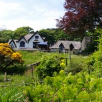 Beautiful gardens at Tree-Top Cafe in Looe
