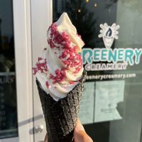 Soft serve  at The Greenery Creamery  in Orlando