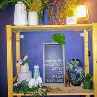 The Greenery Creamery at The Greenery Creamery  in Orlando