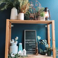 cute interior at The Greenery Creamery  in Orlando