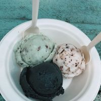 $7 for this 😡Dang It. at The Greenery Creamery  in Orlando