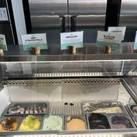 Todays vegan options   at The Greenery Creamery  in Orlando