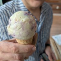  at The Greenery Creamery  in Orlando