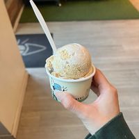 pumpkin coquito and apple spice crunch ice crfeam at The Greenery Creamery  in Orlando