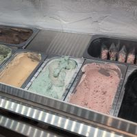Vegan ice cream selection at The Greenery Creamery  in Orlando